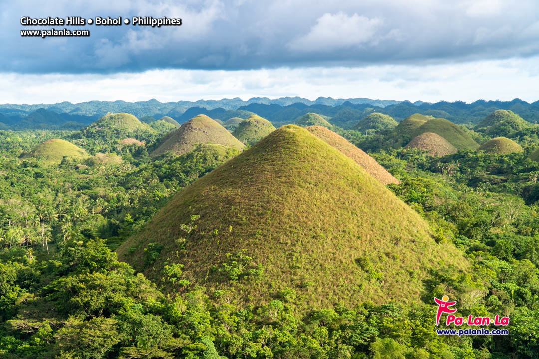 Chocolate Hills